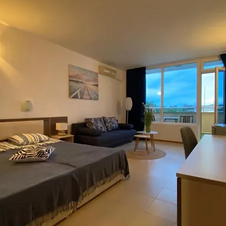 Esperanto 401 Large Sunny *