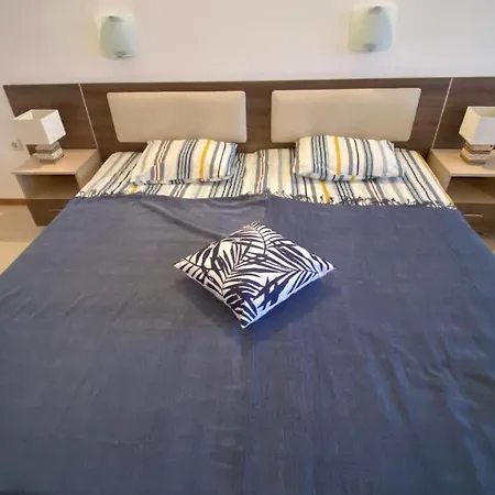 Esperanto 401 Large Sunny *