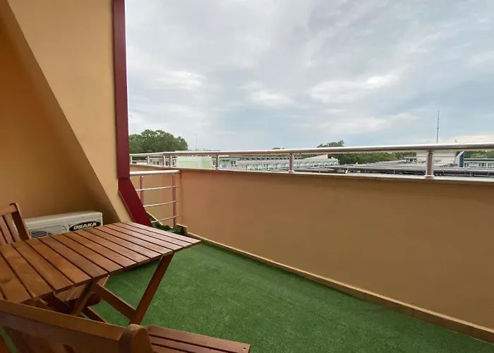 Esperanto 401 Large Sunny * Slantchev Briag