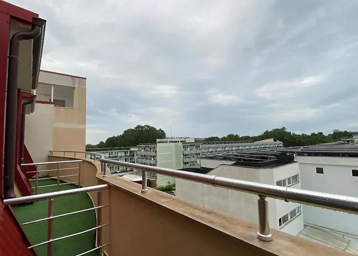 Esperanto 401 Large Sunny *