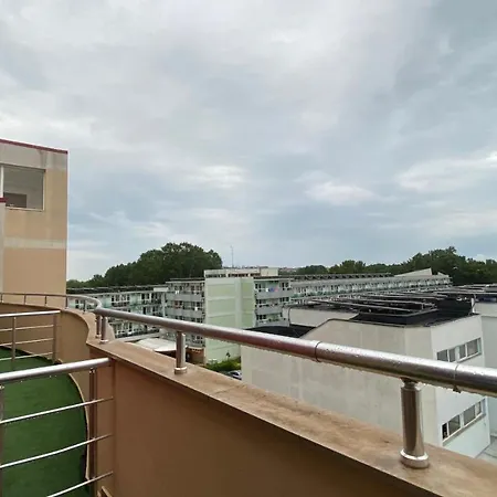 Esperanto 401 Large Sunny *